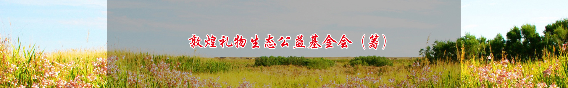 公益基金